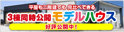 3棟同時公開モデルハウス